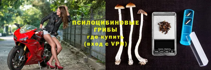 Галлюциногенные грибы MAGIC MUSHROOMS  Жуков 